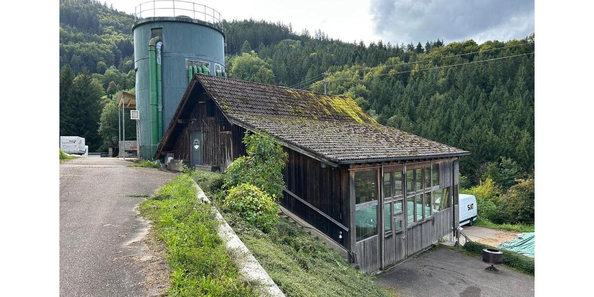 Gewerbeobjekt Winden im Elztal - 1.150&euro; | Angebot:25965027