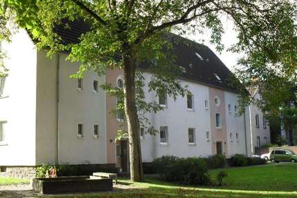 Wohnung Witten Annen - 2 Zimmer, 45 m&sup2;, 359&euro; | Angebot:26150005