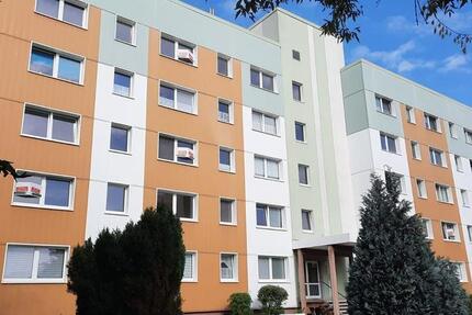 Gemütliche 1-Zimmer-Wohnung 1 zimmer