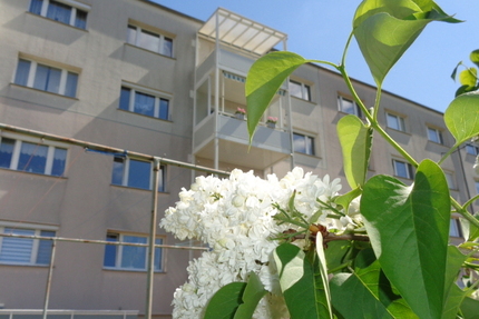 3-Raum-Wohnung mit Balkon und traumhaften Ausblick