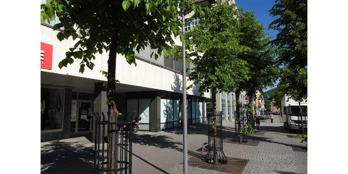 Gewerbeobjekt Kulmbach Blaich - 1.380&euro; | Angebot:26656799