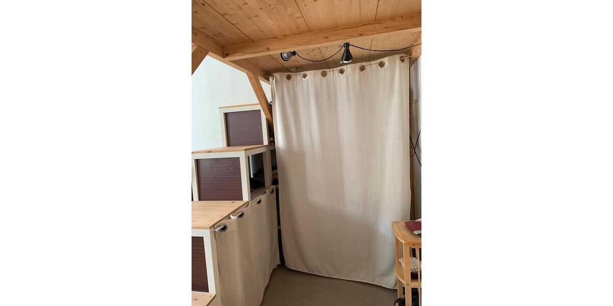 Etagenwohnung Greifswald - 1 Zimmer, 30 m&sup2;, 450&euro; | Angebot:26631226