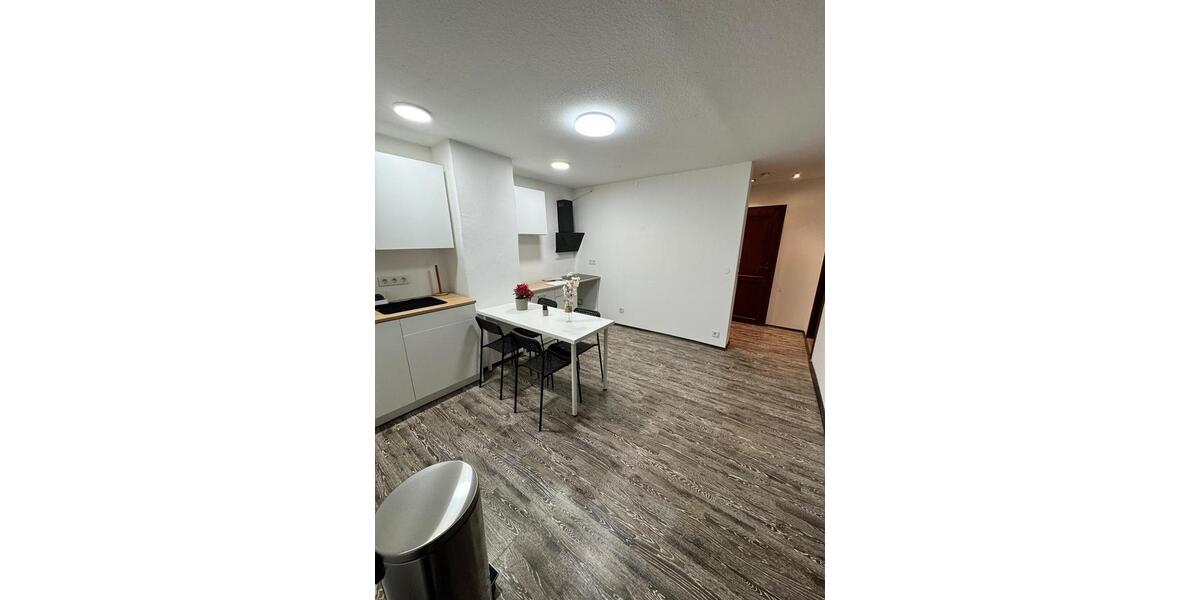 Wohnen auf Zeit Fürth Altstadt - 1 Zimmer, 21 m&sup2;, 470&euro; | Angebot:26400598