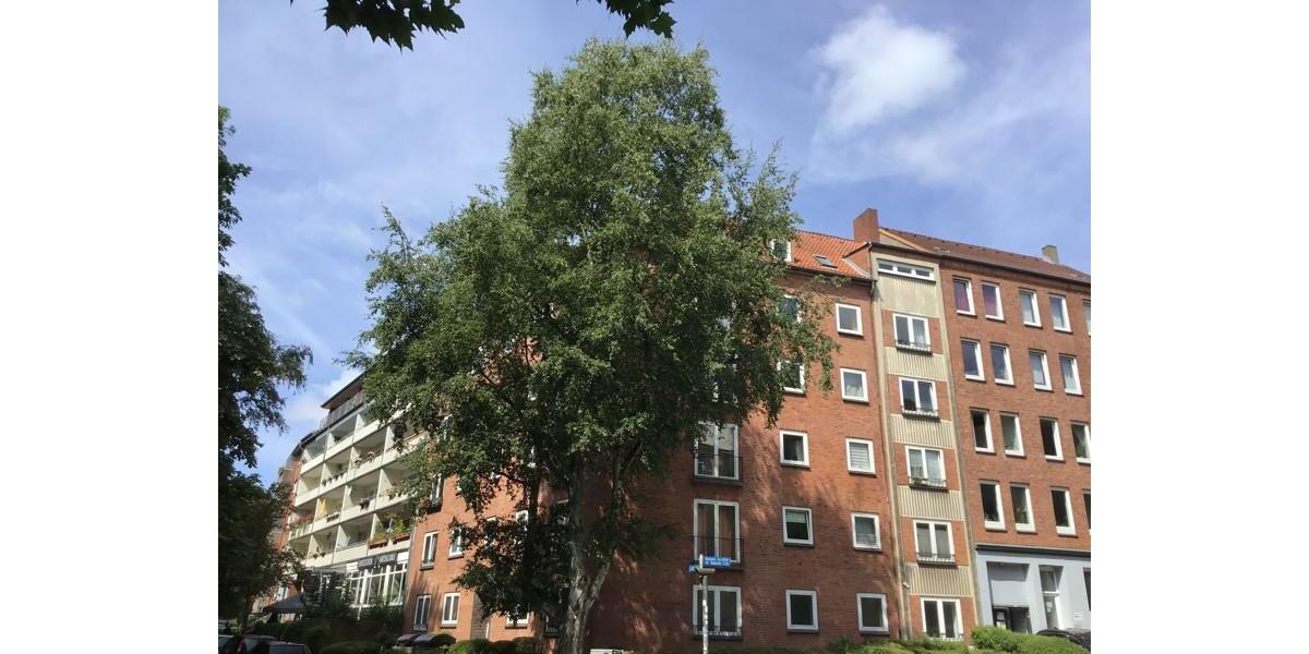 Erdgeschoßwohnung Kiel Südfriedhof - 2 Zimmer, 58 m&sup2;, 697&euro; | Angebot:24979084