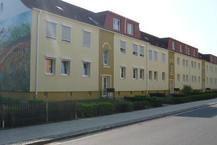 Schöne 2-Raum-Wohnung im Vogelviertel ab 01.12.2025 zu vermieten 2 zimmer