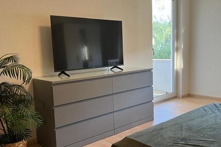 Moderne, voll möbilierte 1 Zi.-Whg in Lörrach 1 zimmer