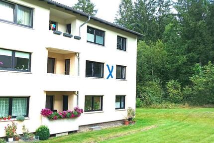 4 Zimmer-Wohnung in Clausthal-Zellerfeld mit 2 Balkone 4 zimmer