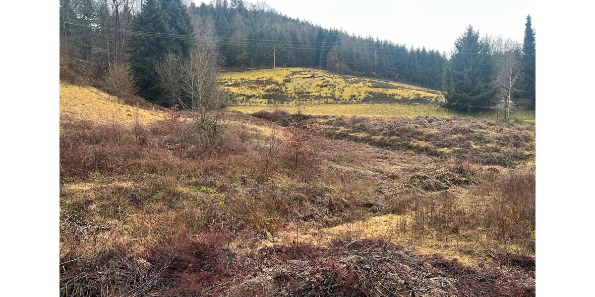 Loft - Studio - Atelier Nordrach - 2 Zimmer, 60 m&sup2;, 890&euro; | Angebot:24870090