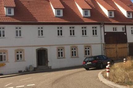 Helle, große Wohnung mit Studio und Dachterrasse in Meimsheim! 4 zimmer