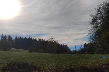 1 Zimmer in wunderschöner Naturlage bei Passau, Lindenthal 1 zimmer