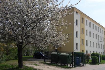 Wohnung Dorf Mecklenburg - 2 Zimmer, 46 m&sup2;, 449&euro; | Angebot:26181225