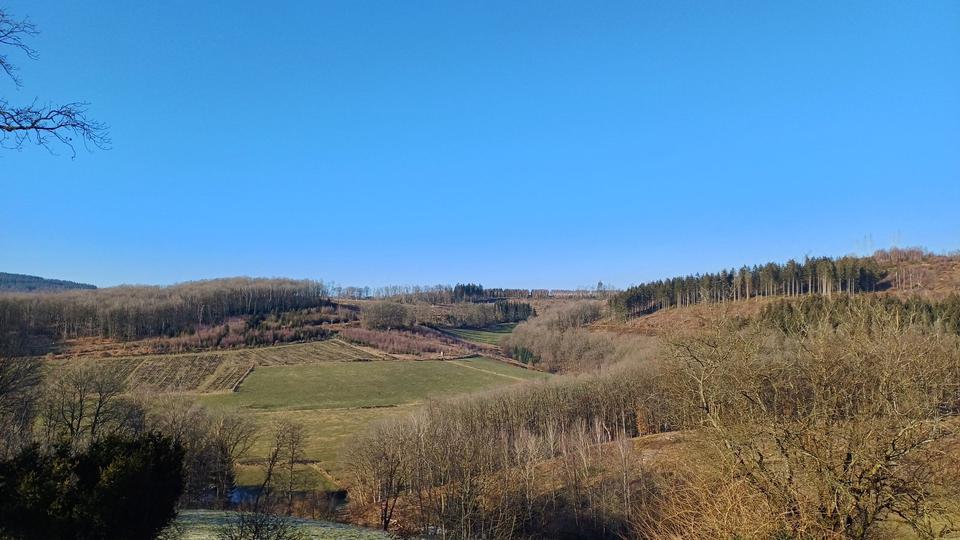 Etagenwohnung Attendorn - 2 Zimmer, 74 m&sup2;, 888&euro; | Angebot:24601122