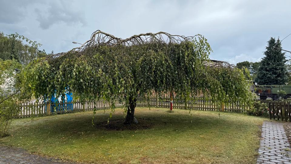 Einfamilienhaus Korswandt - 5 Zimmer, 135 m&sup2;, 1.480&euro; | Angebot:26269363