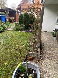 Etagenwohnung Veitshöchheim - 4 Zimmer, 100 m&sup2;, 1.050&euro; | Angebot:25939438