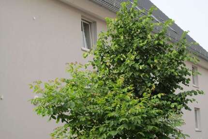 Wohnung zum Mieten in Reinfeld 1.190 € 90 m²
