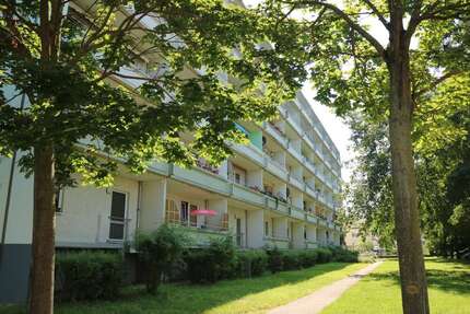 Wohnung Gardelegen - 3 Zimmer, 55 m&sup2;, 345&euro; | Angebot:26888132
