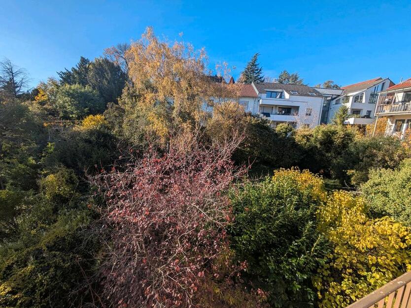 2er-WG in 123 qm zentralerruhiger Wohnlage, 4 Zimmer, 2 Balkone zimmer