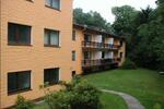 Etagenwohnung Bad Sachsa - 2 Zimmer, 60 m&sup2;, 360&euro; | Angebot:26651251