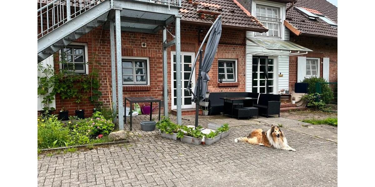 Erdgeschoßwohnung Munster - 4 Zimmer, 110 m&sup2;, 1.130&euro; | Angebot:24812708