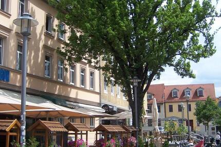 Zetrum JENA WG Zimmer - ALTSTADT zimmer