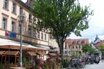 Zetrum JENA WG Zimmer - ALTSTADT zimmer