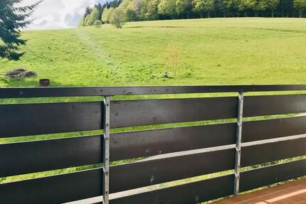 Wohnung Herrischried - 1 Zimmer, 80 m&sup2;, 980&euro; | Angebot:24526367