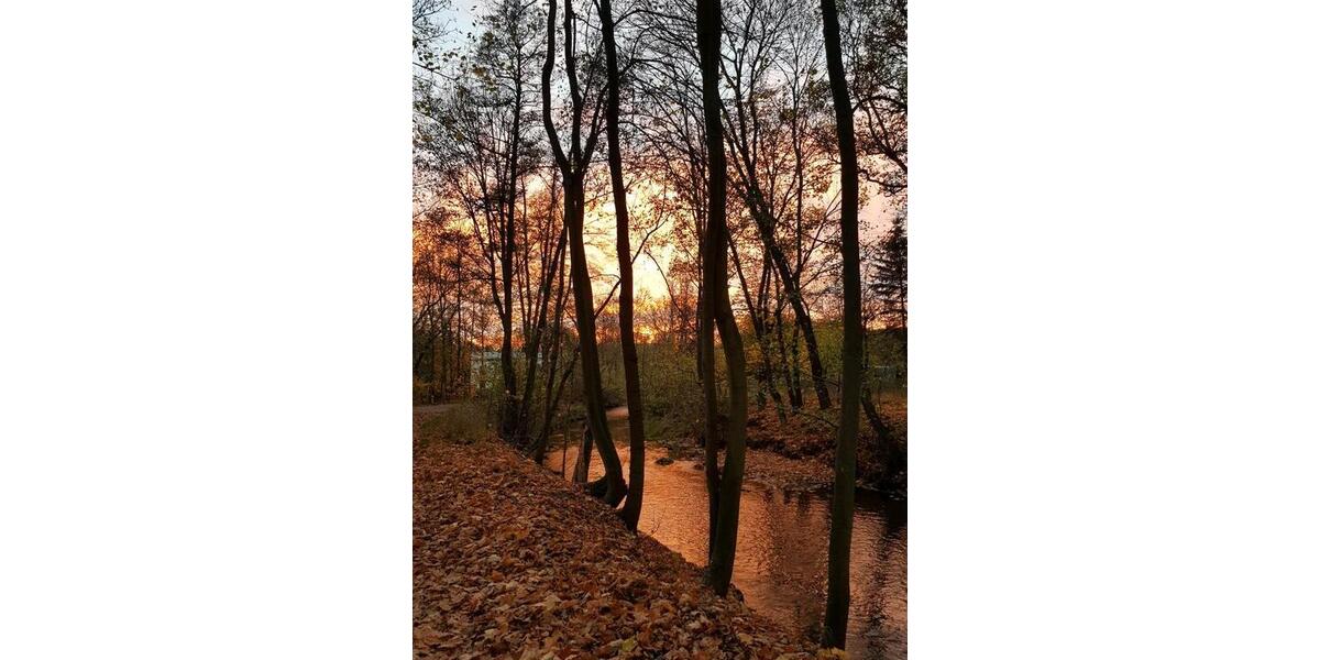 Wohnen auf Zeit Erkner - 1 Zimmer, 100 m&sup2;, 360&euro; | Angebot:25791285