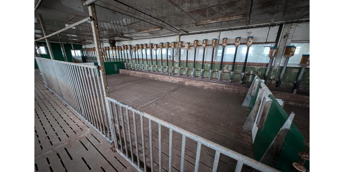 Gewerbeobjekt Jessen (Elster) - 2.800&euro; | Angebot:26460826