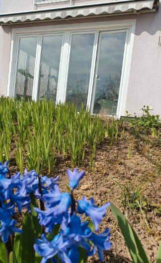 Erdgeschoßwohnung Sulzbach-Rosenberg Rosenberg - 3 Zimmer, 100 m&sup2;, 850&euro; | Angebot:26040536