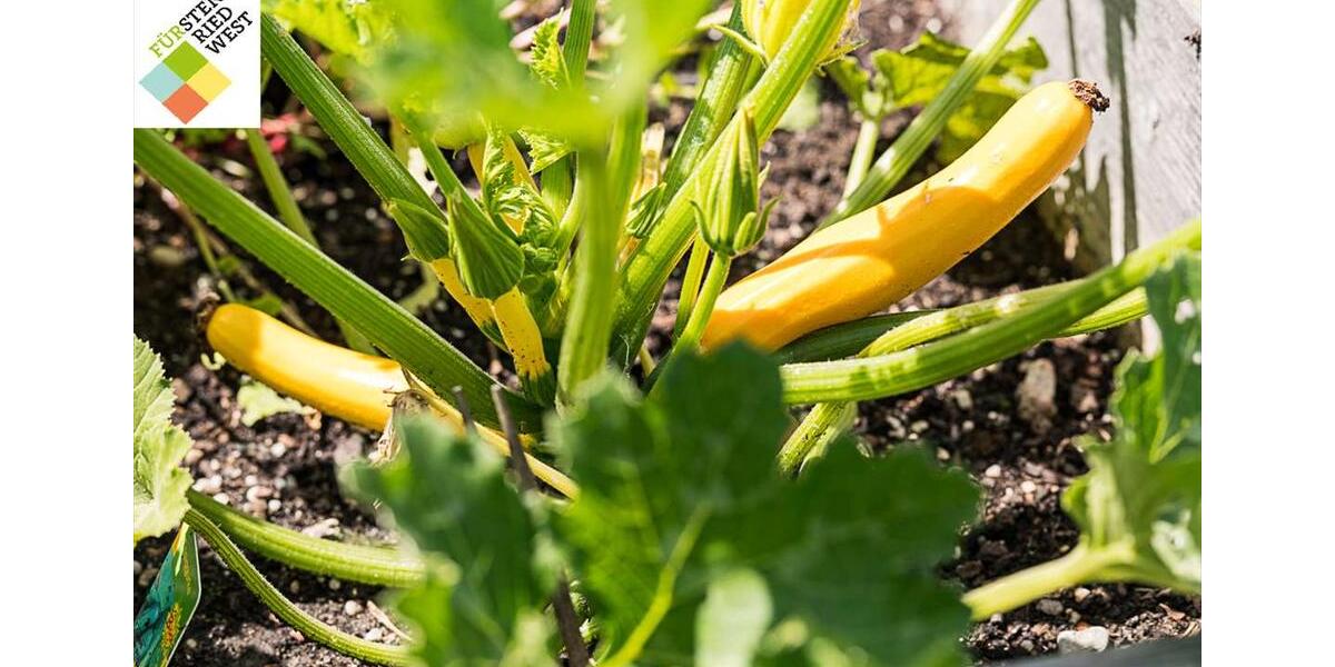 Erdgeschoßwohnung München Thalkirchen-Obersendling-Forstenried-Fürstenried-S - 2 Zimmer, 65 m&sup2;, 1.362&euro; | Angebot:25977083