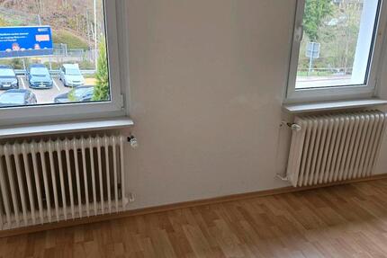 Wohnen auf Zeit Triberg im Schwarzwald - 540&euro; | Angebot:26165368