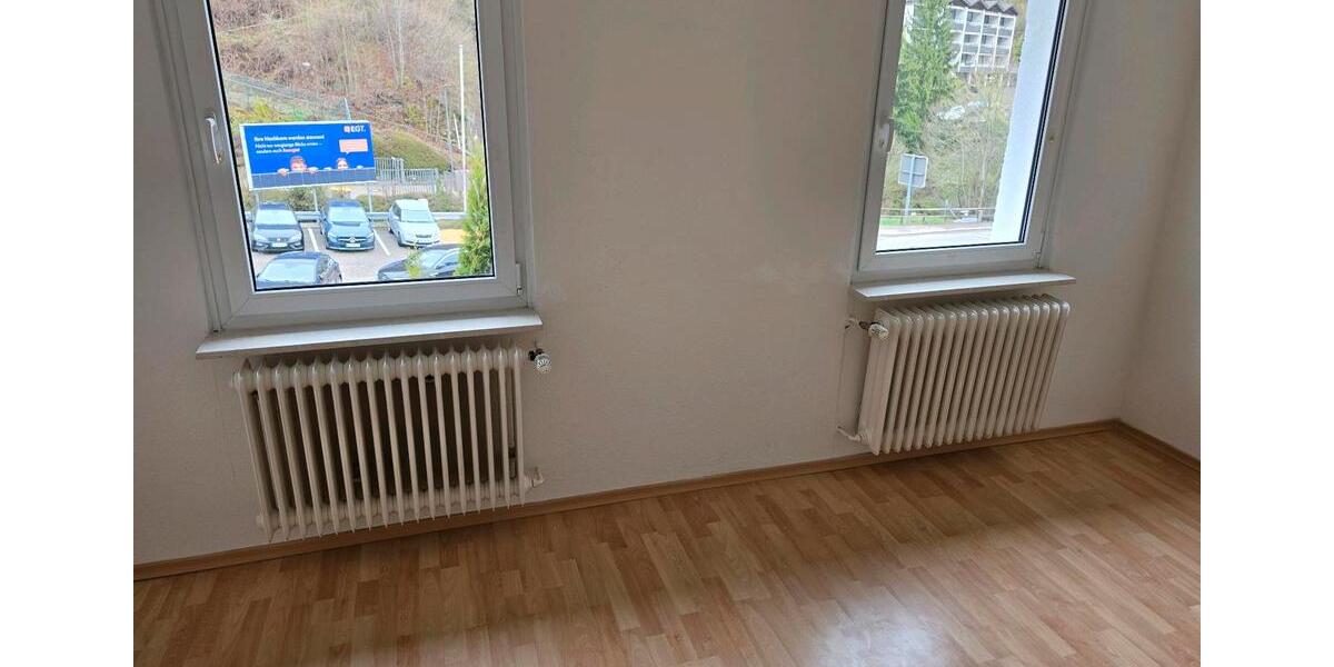 Wohnen auf Zeit Triberg im Schwarzwald - 540&euro; | Angebot:26165368