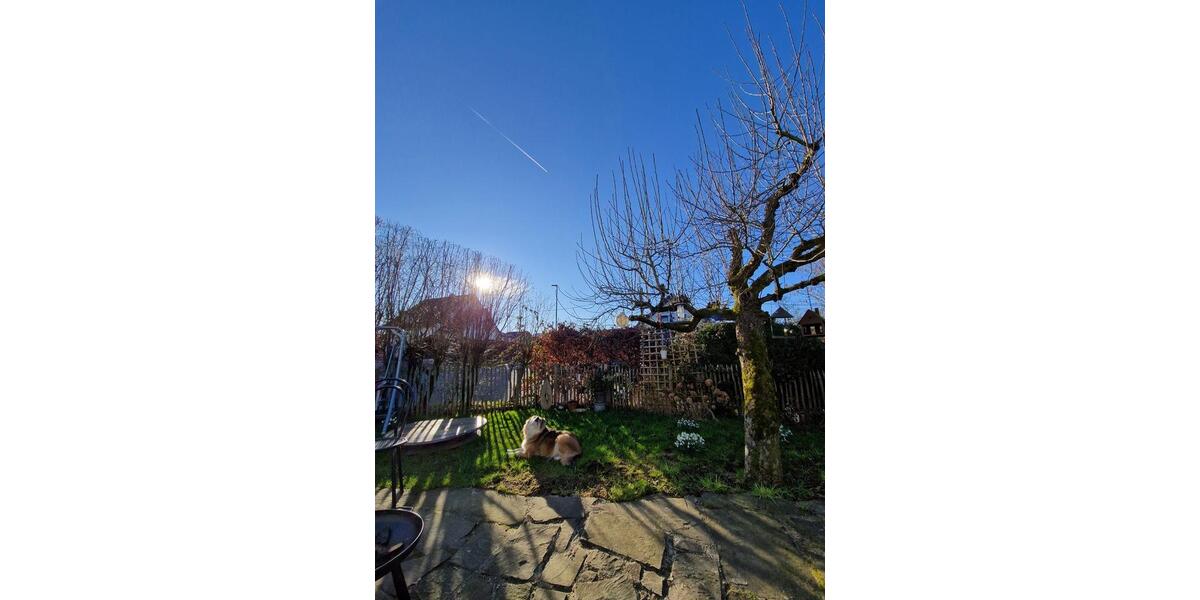 Wohnen auf Zeit Neunkirchen-Seelscheid Seelscheid - 1 Zimmer, 20 m&sup2;, 650&euro; | Angebot:26582794