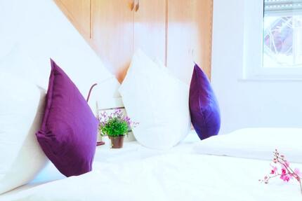 ViLLA NATUR & Monteurzimmer und Wohnung 8 zimmer