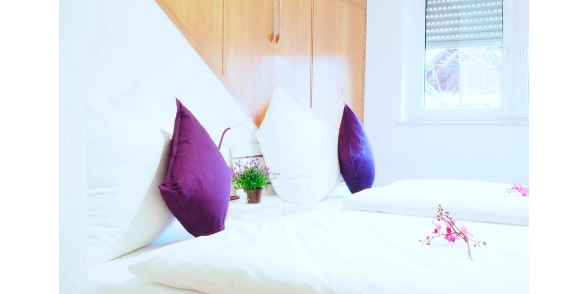 ViLLA NATUR & Monteurzimmer und Wohnung 8 zimmer