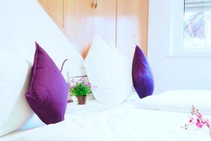 Wohnen auf Zeit Mühlhausen - 9 Zimmer, 200 m&sup2;, 35&euro; | Angebot:11489703