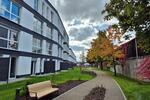 Etagenwohnung Augsburg - 1 Zimmer, 36 m&sup2;, 855&euro; | Angebot:25193832