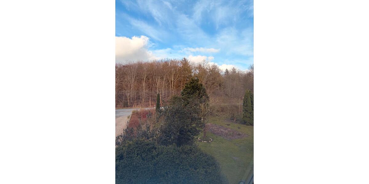 Etagenwohnung Leck - 3 Zimmer, 166 m&sup2;, 1.100&euro; | Angebot:25934977