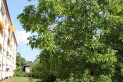 Wohnung zum Mieten in Erlangen 780 € 60.27 m² 2 zimmer