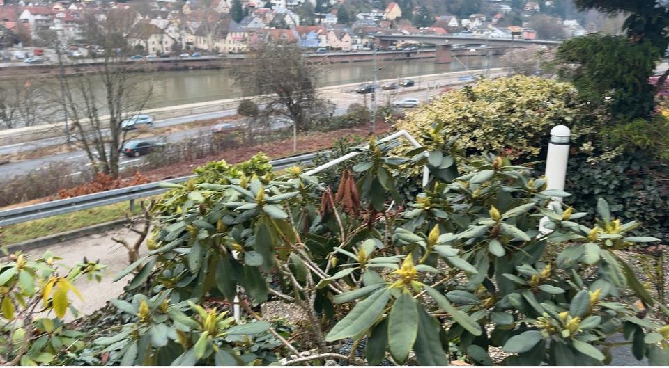 Mietwohnung 2 zimmer