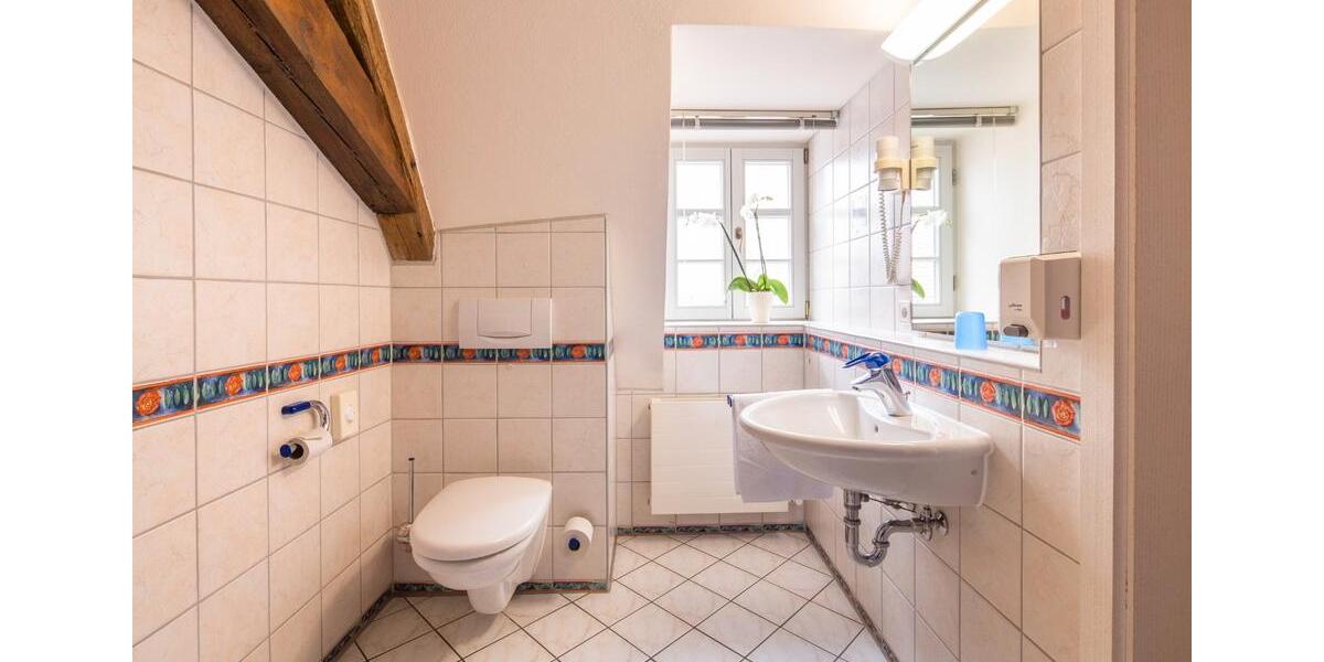 Etagenwohnung Gundelfingen an der Donau - 1 Zimmer, 33 m&sup2;, 540&euro; | Angebot:26636178