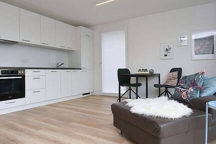 Wohnung Stuttgart Bad Cannstatt - 2 Zimmer, 48 m&sup2;, 1.500&euro; | Angebot:26826830