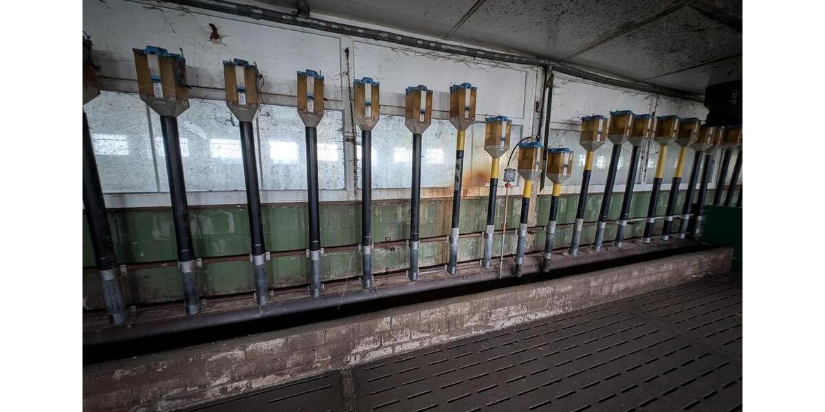 Gewerbeobjekt Jessen (Elster) - 785&euro; | Angebot:24373632