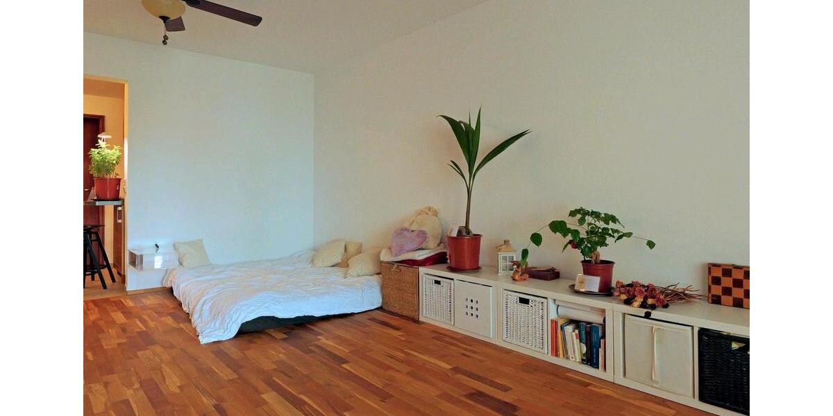 Wohnen auf Zeit Konstanz Allmannsdorf - 1 Zimmer, 45 m&sup2;, 1.250&euro; | Angebot:23832737
