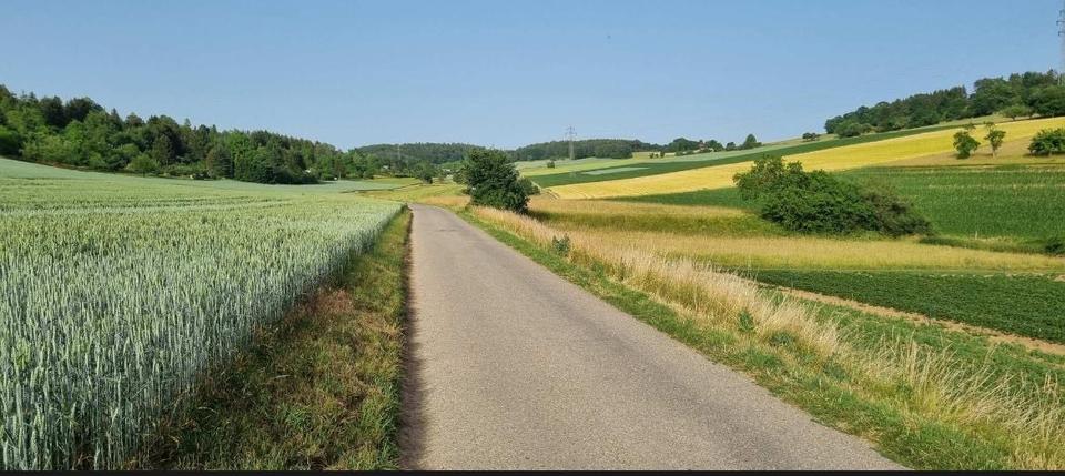 Wohnen auf Zeit Calw - 2.5 Zimmer, 64 m&sup2;, 85&euro; | Angebot:24643758