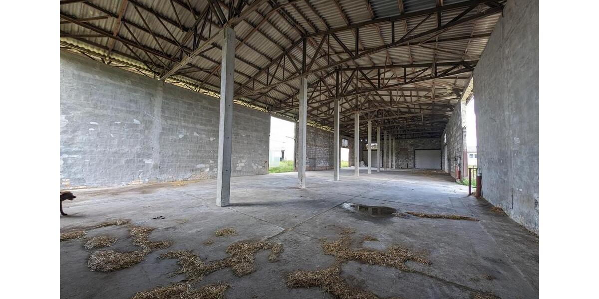 Gewerbeobjekt Jessen (Elster) - 785&euro; | Angebot:24373632