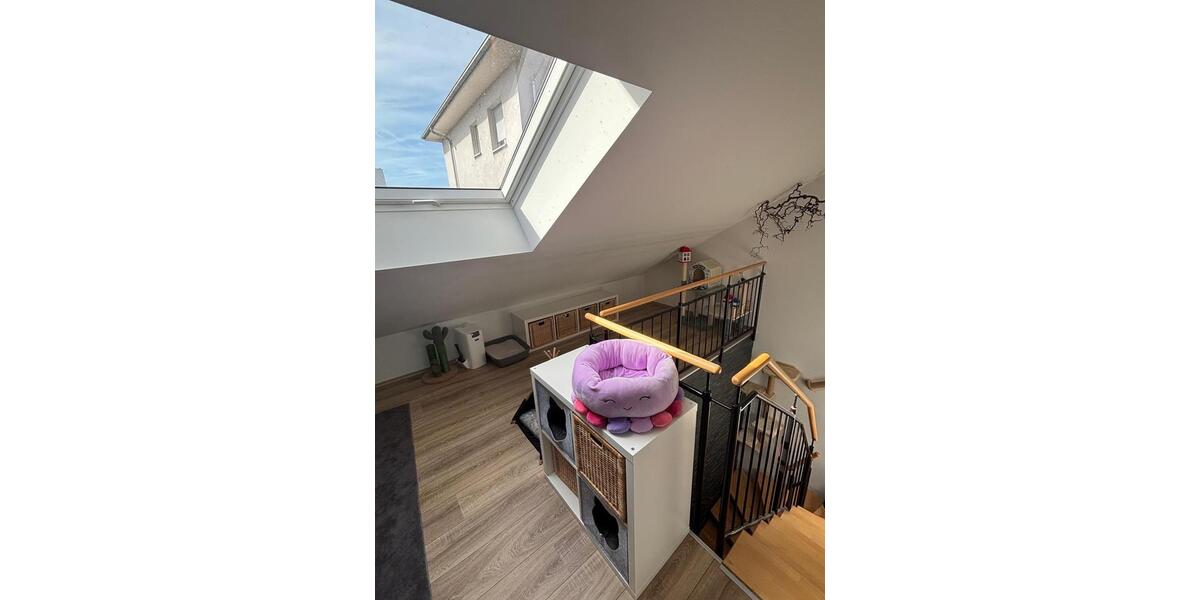 Etagenwohnung Wiesloch - 3 Zimmer, 96 m&sup2;, 1.130&euro; | Angebot:26429223