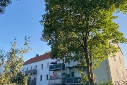 Helle 3 Raumwohnung mit Balkon ab Januar zu vermieten zimmer