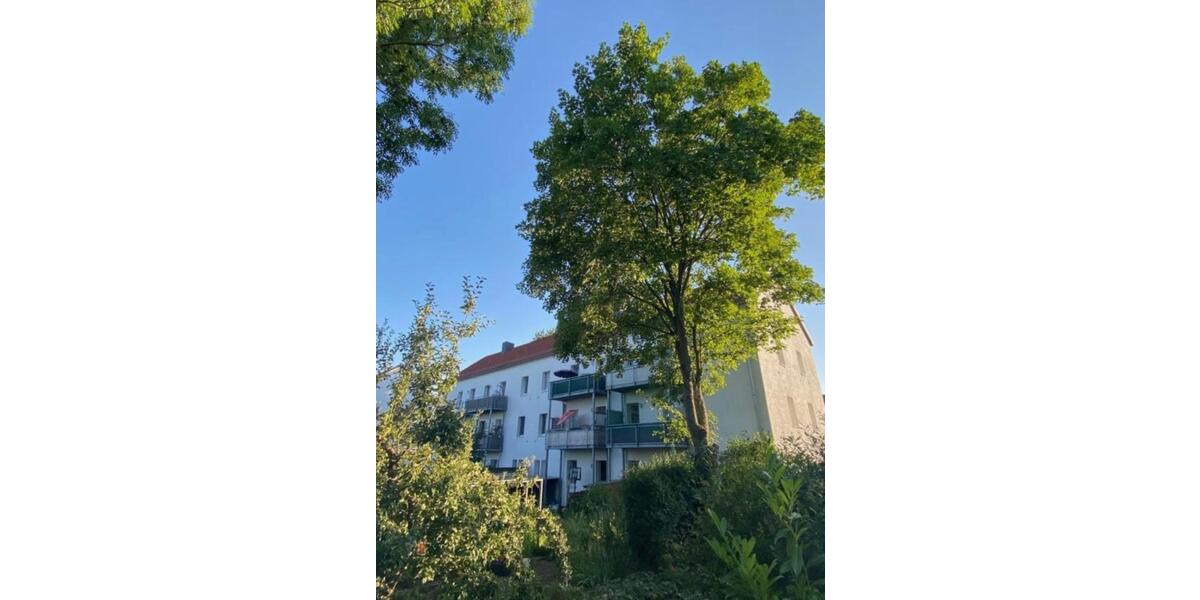 Helle 3 Raumwohnung mit Balkon ab Januar zu vermieten zimmer