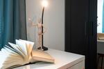Wohnen auf Zeit Radolfzell am Bodensee - 1 Zimmer, 20 m&sup2;, 650&euro; | Angebot:24982848